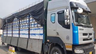 Gần 40.000 tấn vải tươi xuất khẩu qua cửa khẩu ở Lào Cai