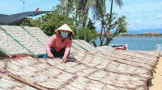 Chị Tám "Dân vận khéo" thu 2 tỷ đồng mỗi năm từ chế biến thủy hải sản khô