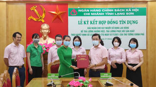 Hàng ngàn người lao động được hỗ trợ lương ổn định cuộc sống