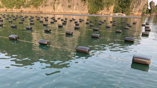 Super Trường Phát - doanh nghiệp đầu tiên công bố hợp chuẩn QCĐP 08:2020/QN cho vật liệu nhựa phục vụ nghề nuôi biển ở Quảng Ninh