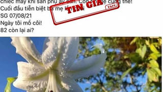 Tin "Bác sĩ Khoa" lấy nước mắt bao người cả đêm qua là tin giả