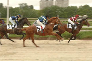 Cá độ đua ngựa 3 lần/ngày là “phạm tội nhiều lần”?