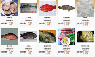 Mua thực phẩm online: Liệu có phải giải pháp an toàn?