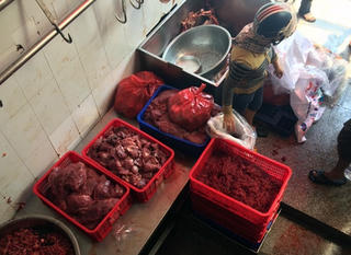 Heo nái 'biến' thành thịt bò nhờ hóa chất