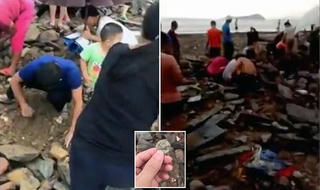 Sau siêu bão Mangkhut, người dân Trung Quốc đổ xô săn lùng 'kho báu'