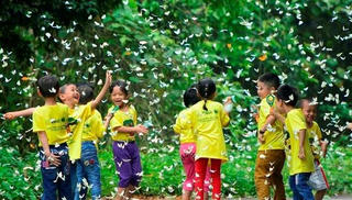 Khám phá những “ngôi nhà thiên nhiên” đầy lý thú cho trẻ phát triển toàn diện