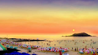 Bay thẳng đến đảo Jeju – Hàn Quốc, khám phá những bãi biển nên thơ