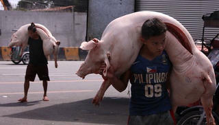 Nhiều quốc gia ngừng nhập khẩu thịt lợn từ Đức vì lo ngại dịch tả lợn châu Phi 