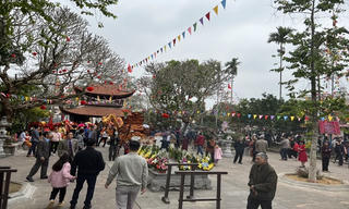 Về hội chùa Bối Khê chiêm ngưỡng hoa sen đất