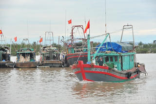 Hải Phòng xây dựng quy chế phối hợp, xử lý vi phạm trong lĩnh vực thuỷ sản