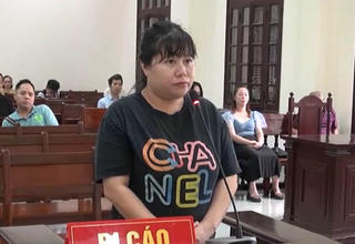 Bản án chung thân cho nữ giám đốc chiếm đoạt gần 300 tỷ đồng