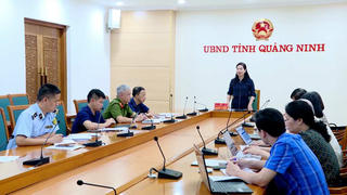 Tổng kiểm tra cơ sở sản xuất, chế biến, kinh doanh thực phẩm 