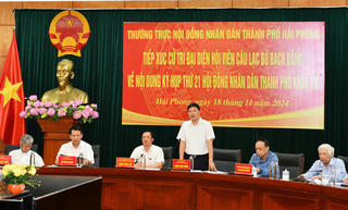 Hải Phòng lên chủ trương cưỡng chế thu hồi hơn 41 ha đất để hoang hóa nhiều năm 