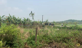 Hai nam thanh niên tử vong bất thường bên bờ ao