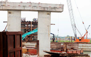 Nghệ An chuyển đổi hơn 11,5 ha rừng để làm đường ven biển
