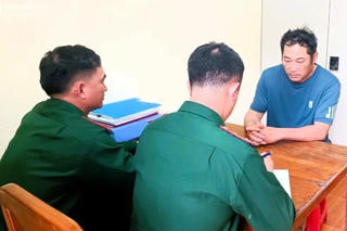 Người đàn ông buôn lậu 17 con bò sữa qua biên giới