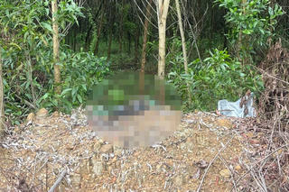 Người đàn ông 50 tuổi tử vong trong rừng