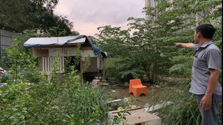 Luật sư chỉ ra những vi phạm tố tụng hành chính trong vụ UBND quận Bình Thạnh “chây ì” thi hành án