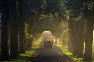 Tây Nguyên mùa nhớ! 