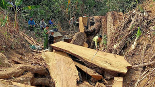 Kon Tum: Bắt quả tang 2 đối tượng đang phá rừng