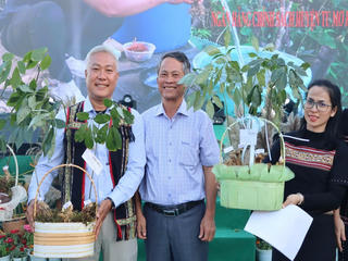 Sâm Ngọc Linh được công nhận là Di sản Văn hóa Phi vật thể Quốc gia 