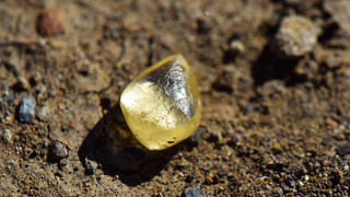 Cặp vợ chồng tìm thấy viên kim cương vàng 4,38 carat khi đi dạo công viên 