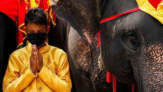 Tiệc buffet độc đáo dành cho voi trong lễ hội ở Thái Lan