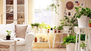 5 mẹo trang trí nội thất phù hợp với mùa hè cho căn nhà