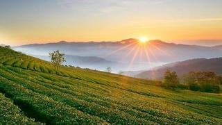 Đà Lạt sắp có khu đô thị sinh thái thông minh gần 1.000 ha