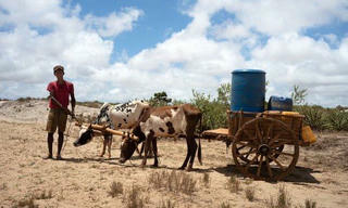 Hơn một triệu người dân Madagascar đang trên bờ vực của nạn đói 