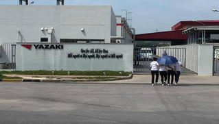 Hải Phòng xử phạt hành chính với mức cao nhất đối với hành vi không khai báo y tế khi về từ vùng dịch