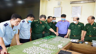 Khởi tố vụ vận chuyển vàng trắng, kim cương trị giá 15 tỷ đồng từ nước ngoài về cảng Hải Phòng