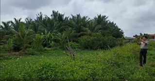 Hải Phòng: Chuẩn bị cưỡng chế thi hành án tại phường Bàng La, Đồ Sơn