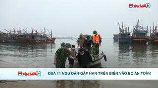 Đưa 11 ngư dân gặp nạn trên biển vào bờ an toàn