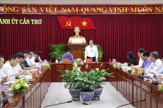 Ban Chỉ đạo Trung ương về phòng, chống tham nhũng làm việc tại Cần Thơ