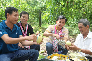 Sắp diễn ra Ngày hội Hội quán Đất Sen hồng lần thứ I năm 2023 