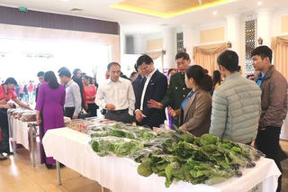 Lai châu: Kinh tế tập thể trở thành động lực phát triển kinh tế - xã hội 