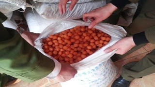 Tịch thu hơn 10 tấn mì chính, ô mai nhập lậu từ Trung Quốc