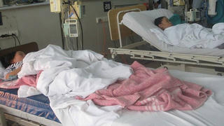 Thêm 4 trường hợp bị ngộ độc nấm