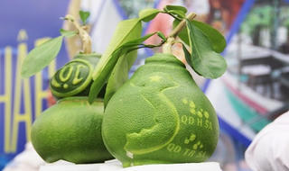 Đại gia săn 'linh vật' Tết