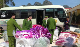 Lạng Sơn: Xử lý hơn 500 vụ buôn lậu, gian lận thương mại và vi phạm hành chính về Hải quan