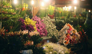 Bộ Y tế đề nghị tất cả những người buôn bán hoa và có mặt tại Chợ hoa Mê Linh từ ngày 20/3 đến nay cần liên hệ y tế gấp