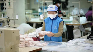 Bộ Y tế yêu cầu xử lý đơn vị chậm báo cáo năng lực cung cấp khẩu trang 