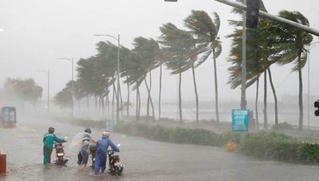 Vietnam Airlines điều chỉnh lịch bay do ảnh hưởng của bão số 9