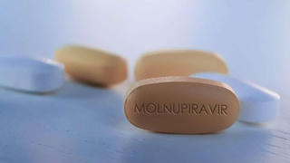 Thanh tra việc bán thuốc Molnupiravir tại các nhà thuốc ở Hà Nội