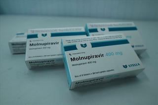 Bộ Y tế đã phân bổ 300.000 liều thuốc Molnupiravir tại 46 tỉnh, thành