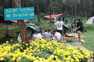 Du khách đổ về Medi Thiên Sơn chiêm ngưỡng Lễ hội hoa cúc