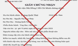 Giả mạo chữ ký giám đốc, con dấu bệnh viện để kêu gọi từ thiện và ký kết hợp đồng lao động