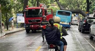 Cây xà cừ bật gốc đè ngang xe bus đang lưu thông tại Hà Nội