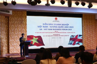 Phó TGĐ Sao Thái Dương tham dự và chia sẻ tại 'Diễn đàn doanh nghiệp Việt Nam – Vương Quốc Anh năm 2023'